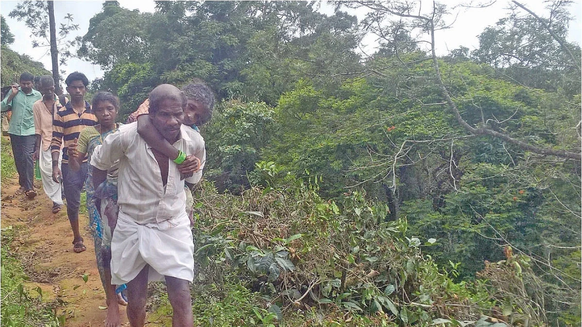 பழங்குடிகள்