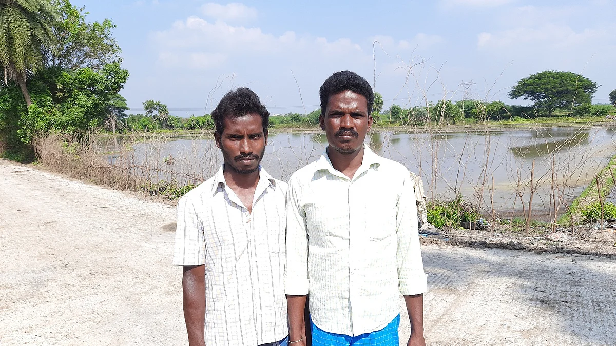 இருளர்கள்