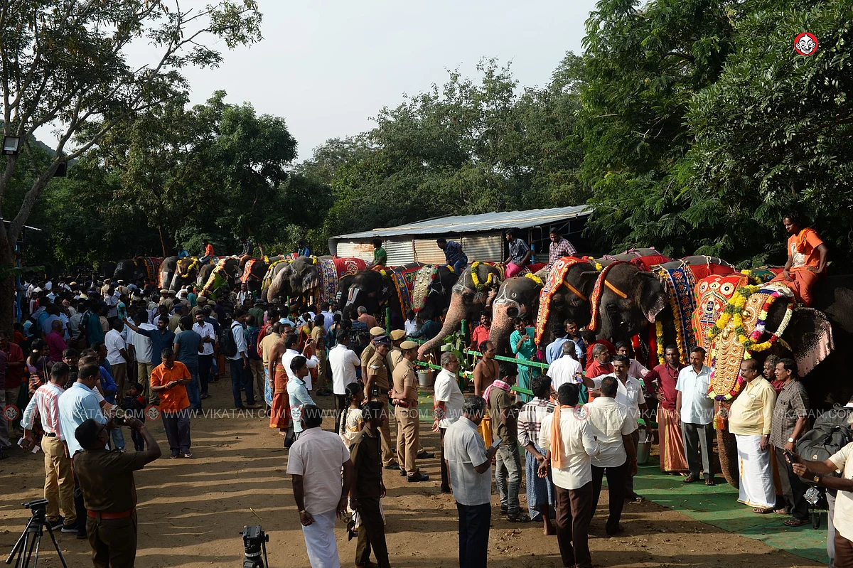 யானைகள் நல்வாழ்வு முகாம் 2019-2020