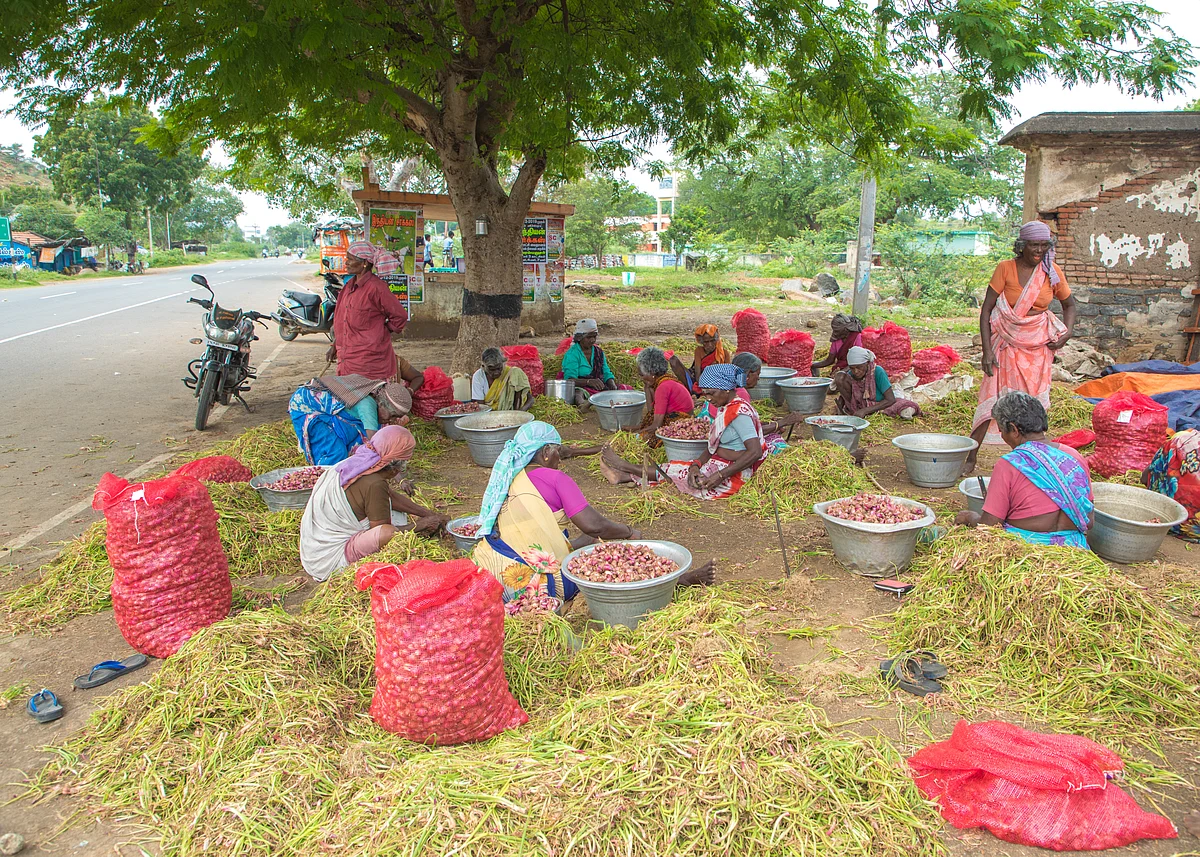 வெங்காயம்