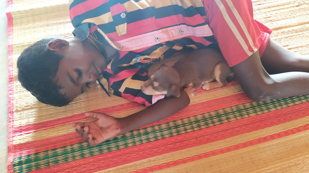 பரணி