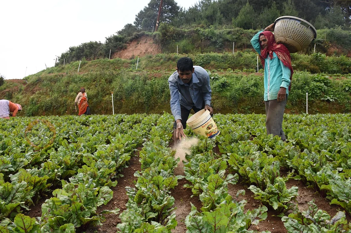 Pesticides