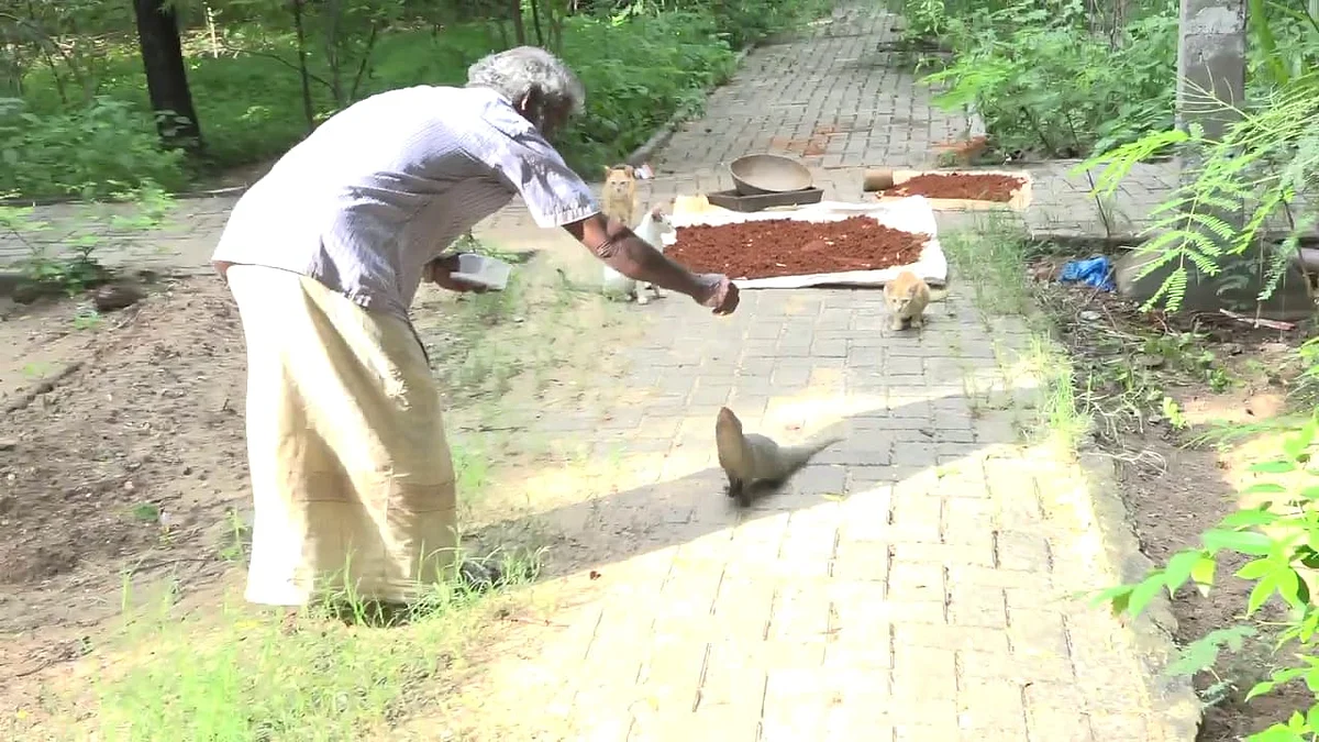 உணவளிக்கும் அமீர்