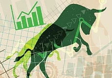 Bull Market