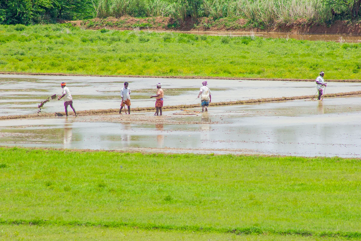 விவசாயிகள்