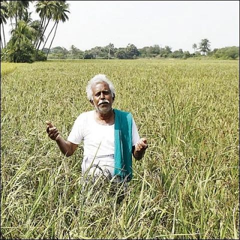 விவசாயக்கடன் தேவைப்படும் விவசாயிகள்