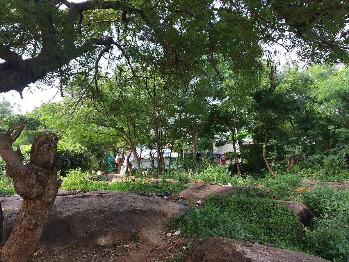 அங்கன்வாடிக்கு செல்லும் பாதை