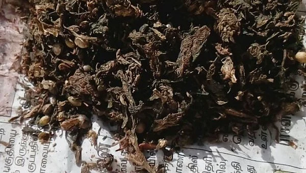 கஞ்சா