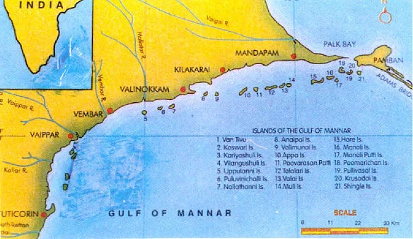 மன்னார் வளைகுடா தீவுகள்