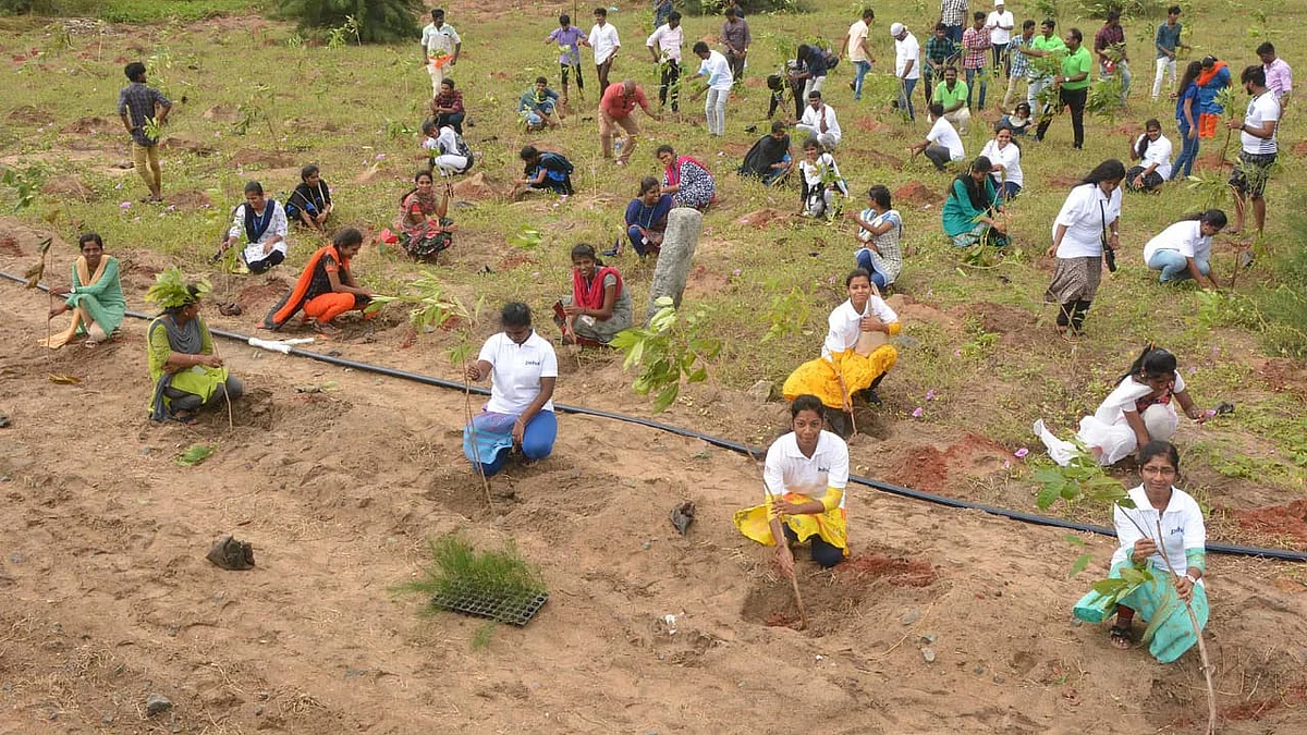மரம் நடுவிழா