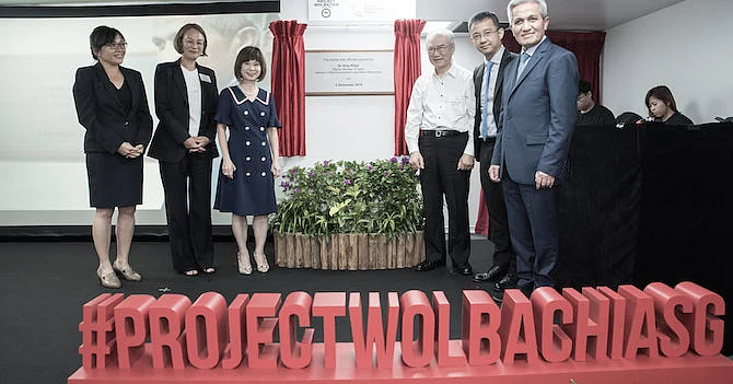 'Project Wolbachia Singapore' ஆய்வுக்குழு.