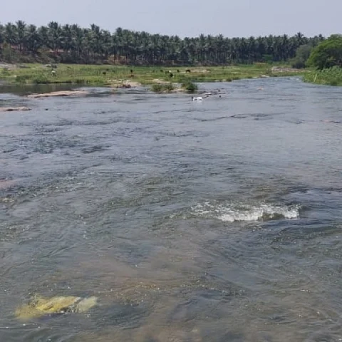 பொள்ளாச்சி