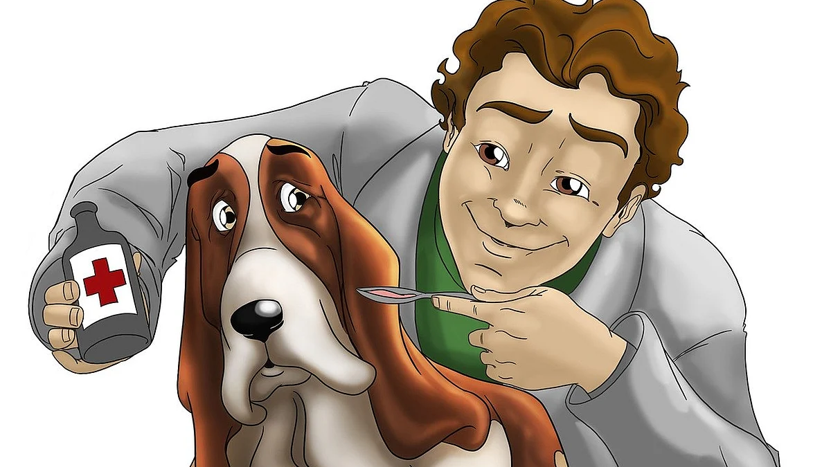 Veterinary Doctor