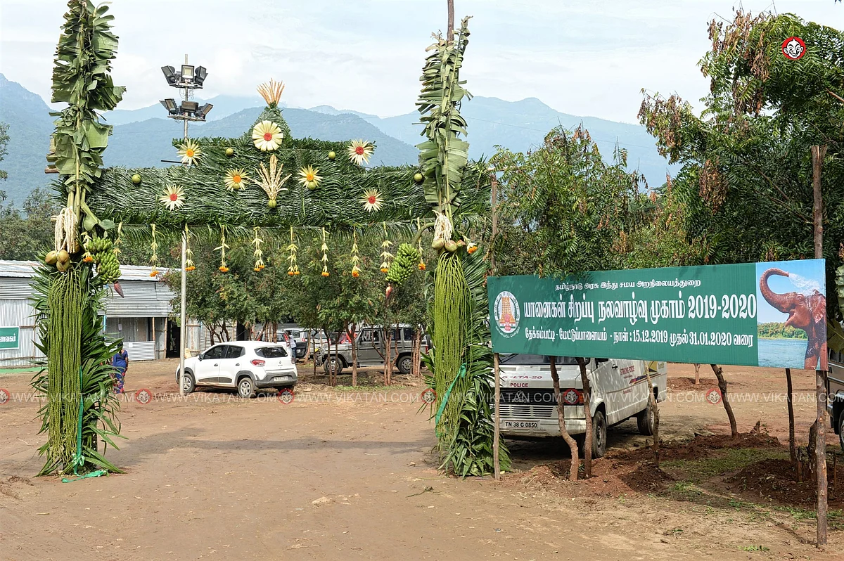 யானைகள் நல்வாழ்வு முகாம் 2019-2020