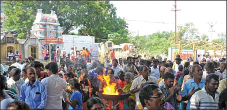 மூலிகை லிங்க தரிசனம்
