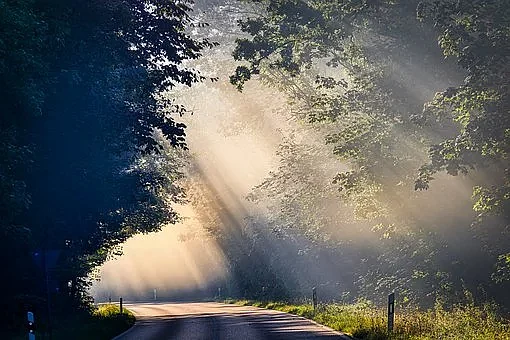 Morning | Representational Image