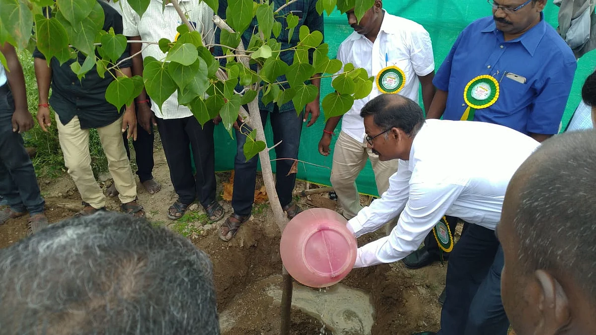 மரம் நடும் விழா