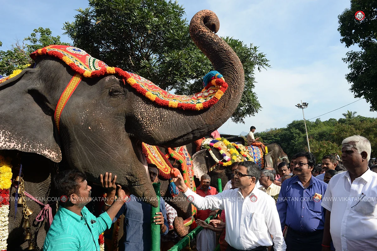 யானைகள் நல்வாழ்வு முகாம் 2019-2020