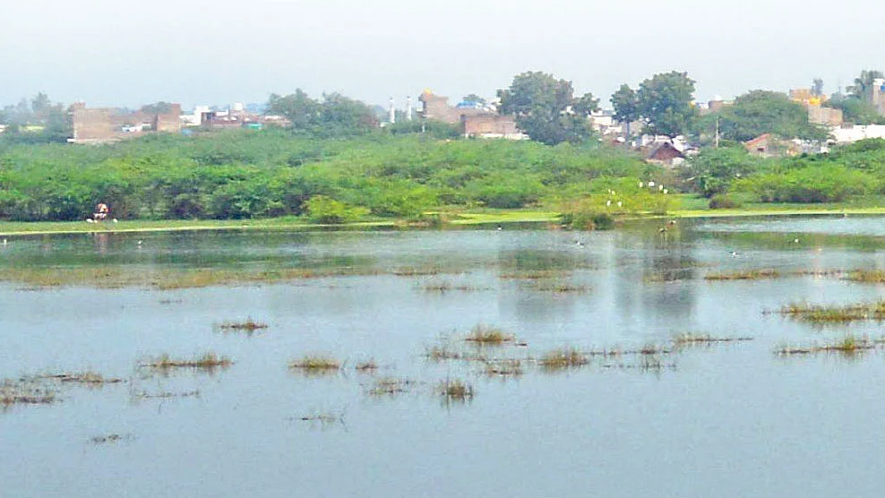 பேரணாம்பட்டு ஏரி