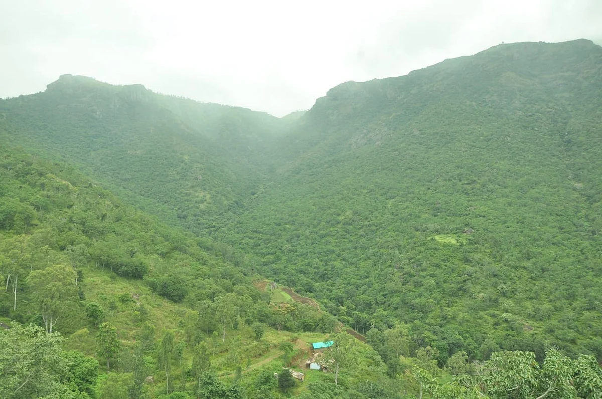 முதுமலை புலிகள் காப்பகம்