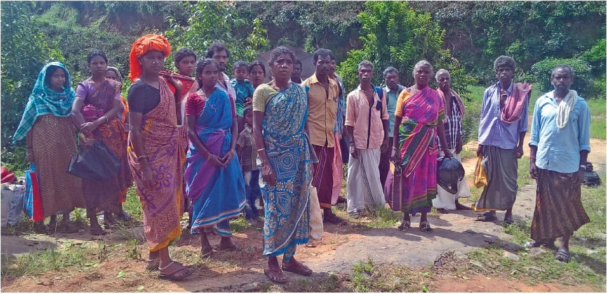 பழங்குடிகள்