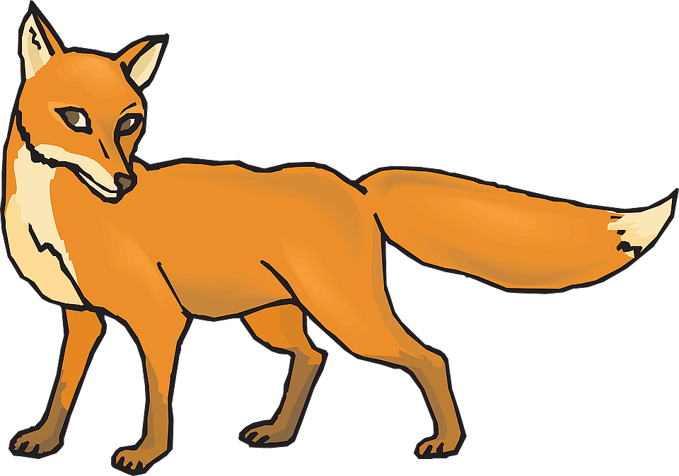 fox