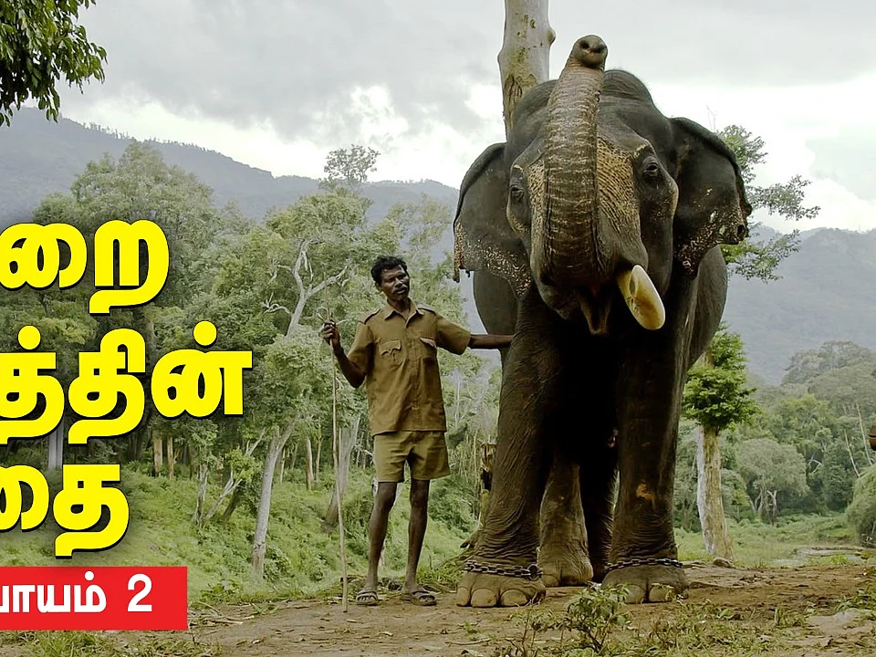 நேருக்கு நேர் மோதிய மதம் பிடித்த யானைகள்! | Kumki Series | Episode 2