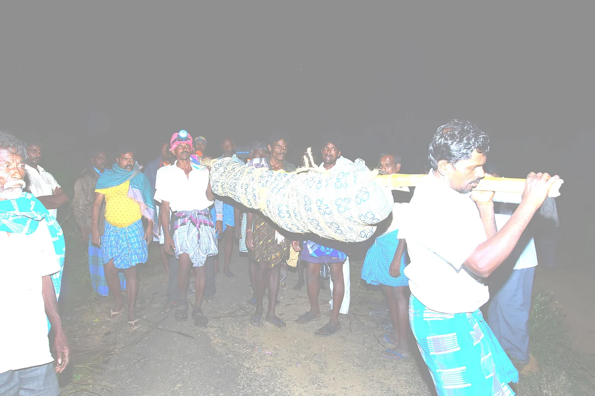 டோலி கட்டி சடலத்தைத் தூக்கிச்செல்லும் அவலம்
