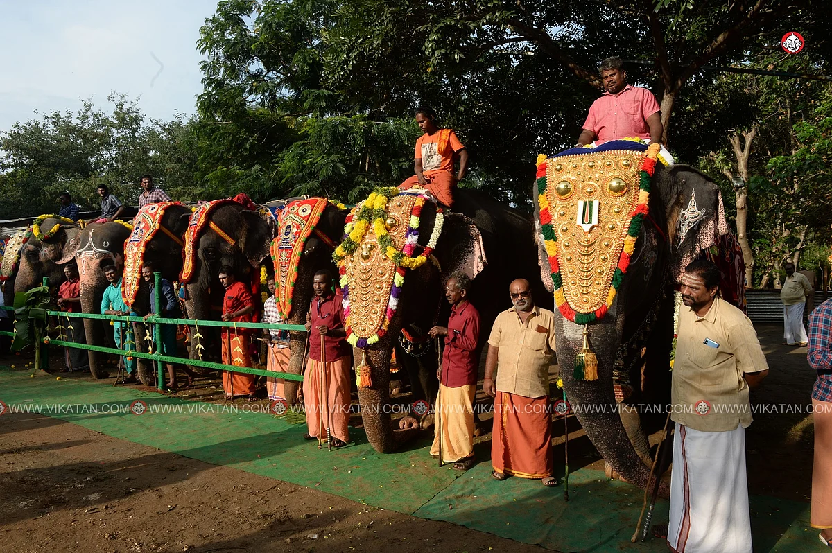 யானைகள் நல்வாழ்வு முகாம் 2019-2020