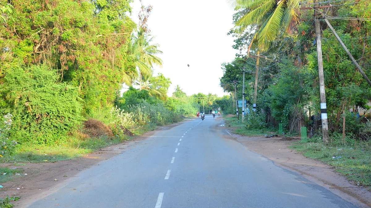 வன்னிப்பட்டு