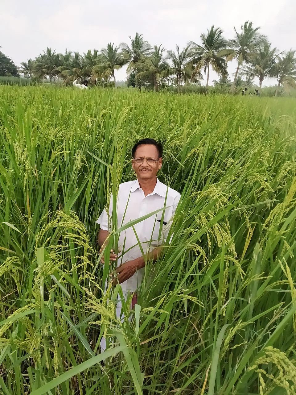 வயலில் சீனிவாசன்