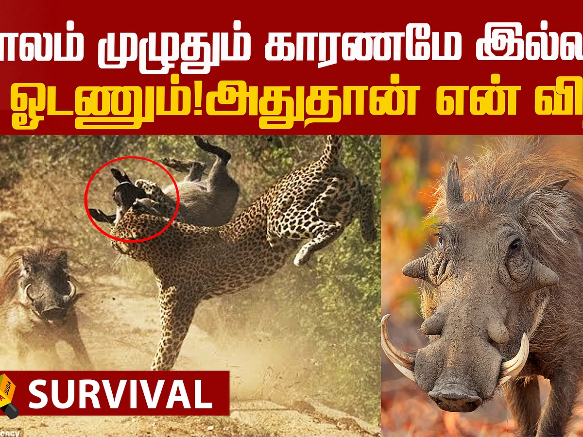 `காலம் முழுதும் காரணமே இல்லாமல் ஓடணும்... அதான் என் விதி!’