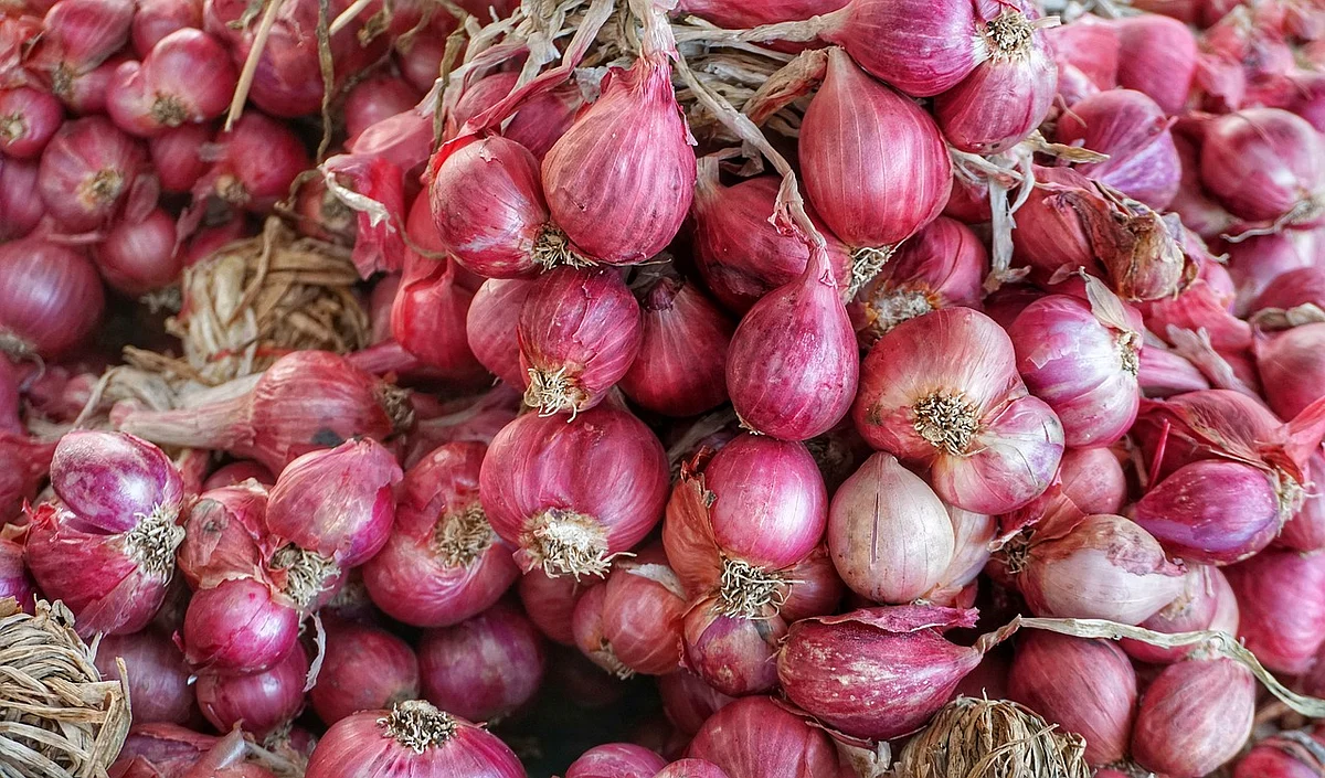 Small Onions
