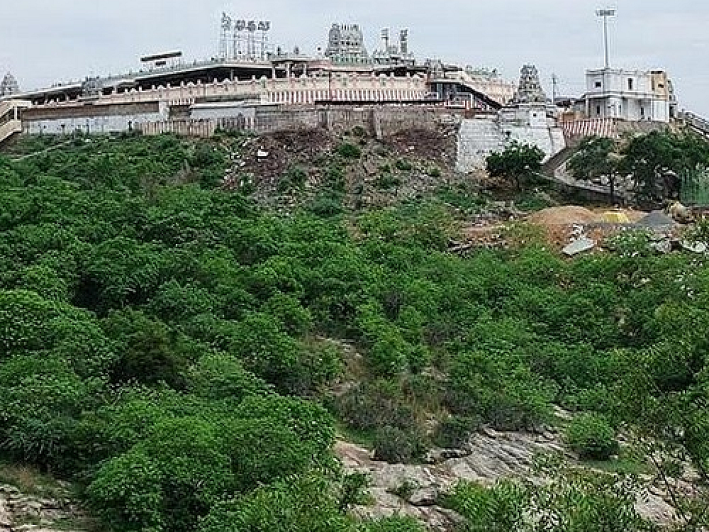 திருப்புகழ் ஓங்கும் திருத்தணி படிபூஜை... விடிய விடிய புத்தாண்டில் அருளும் சுப்ரமணியன்!