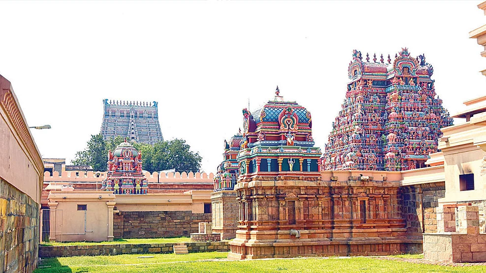 மார்கழி தரிசனம்