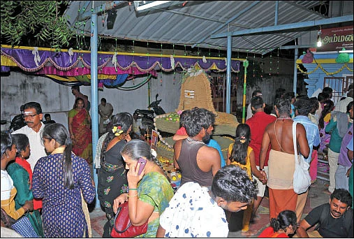 மூலிகை லிங்க தரிசனம்