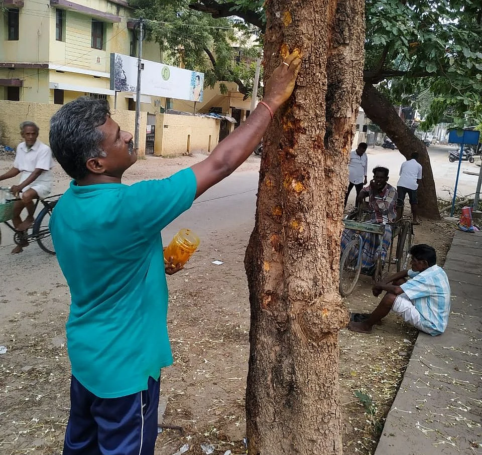 சுபாஷ் சீனிவாசன்