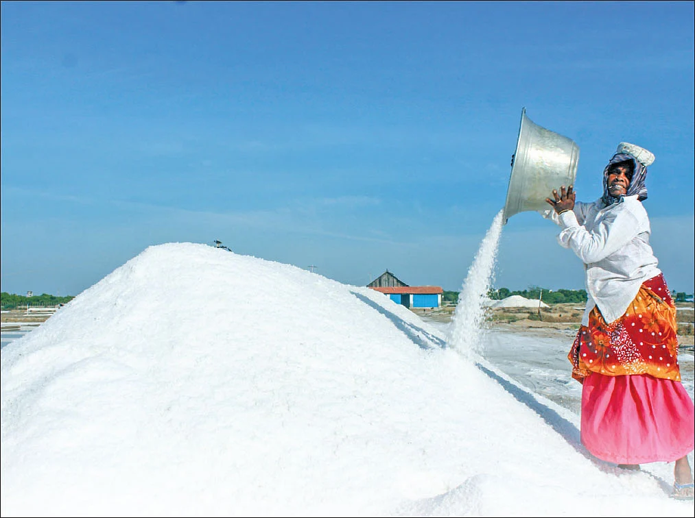 தூத்துக்குடி
உப்பு