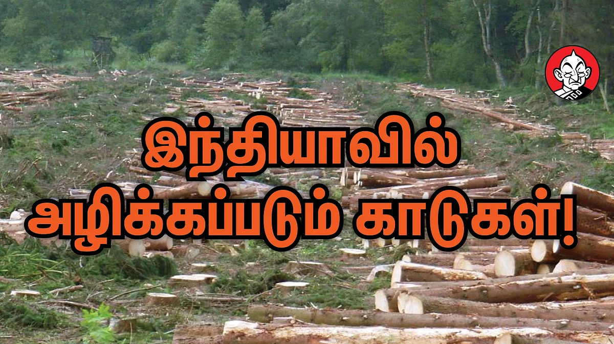 இந்தியாவில் அழிக்கப்படும் காடுகள்