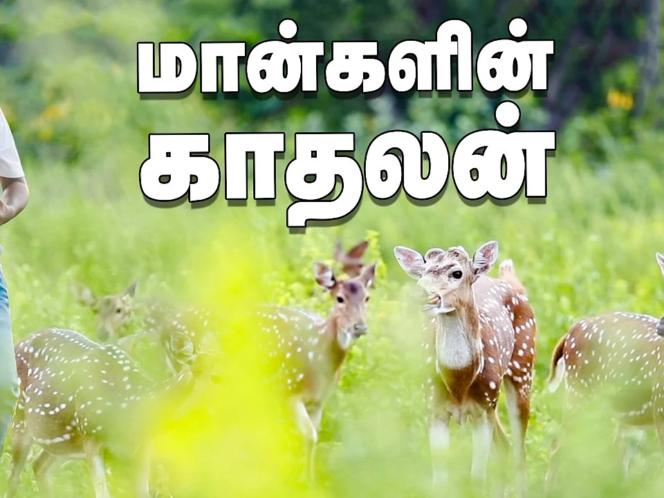 சம்பளம் ரூ.500... அதில் ரூ.300 மான்களுக்கு... - Sudhakar's Inspiring Story