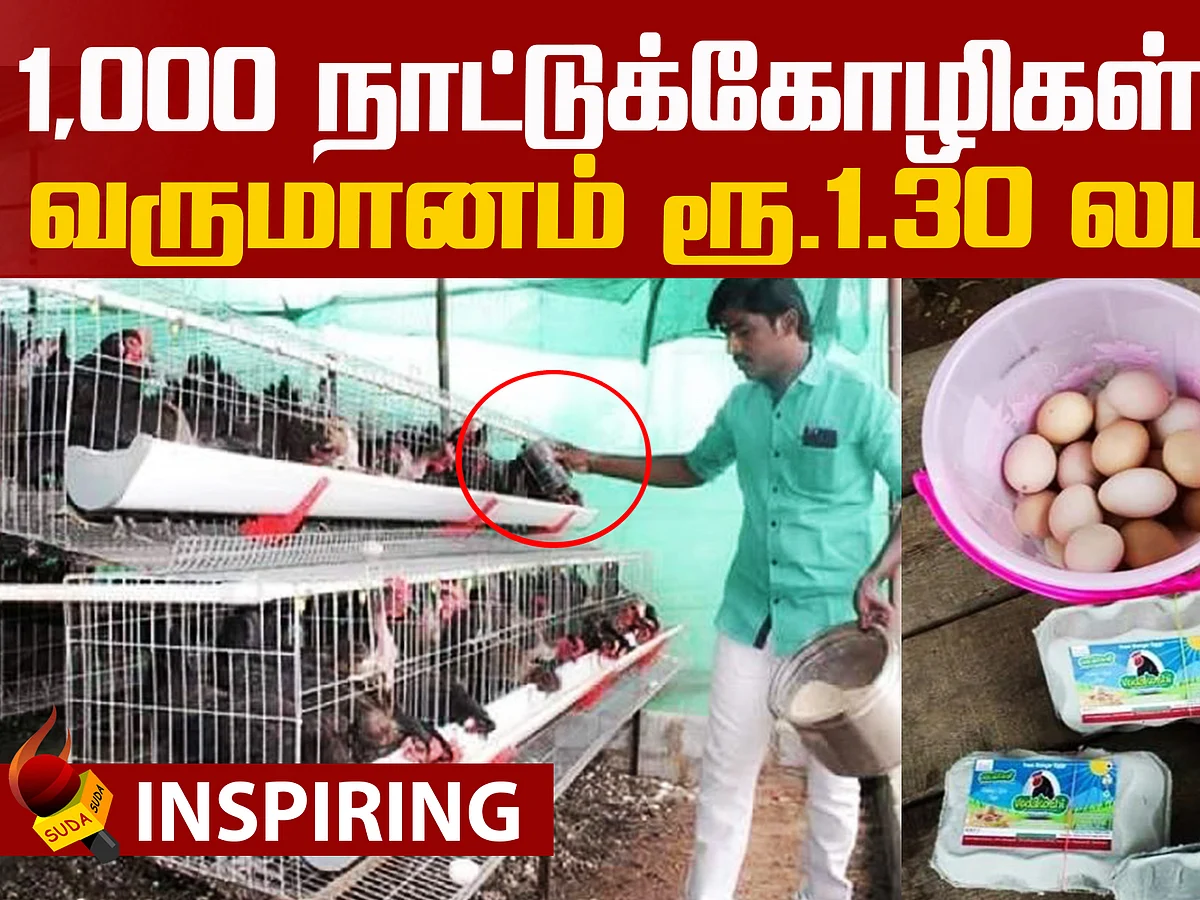 Poultry farming Business ideas!