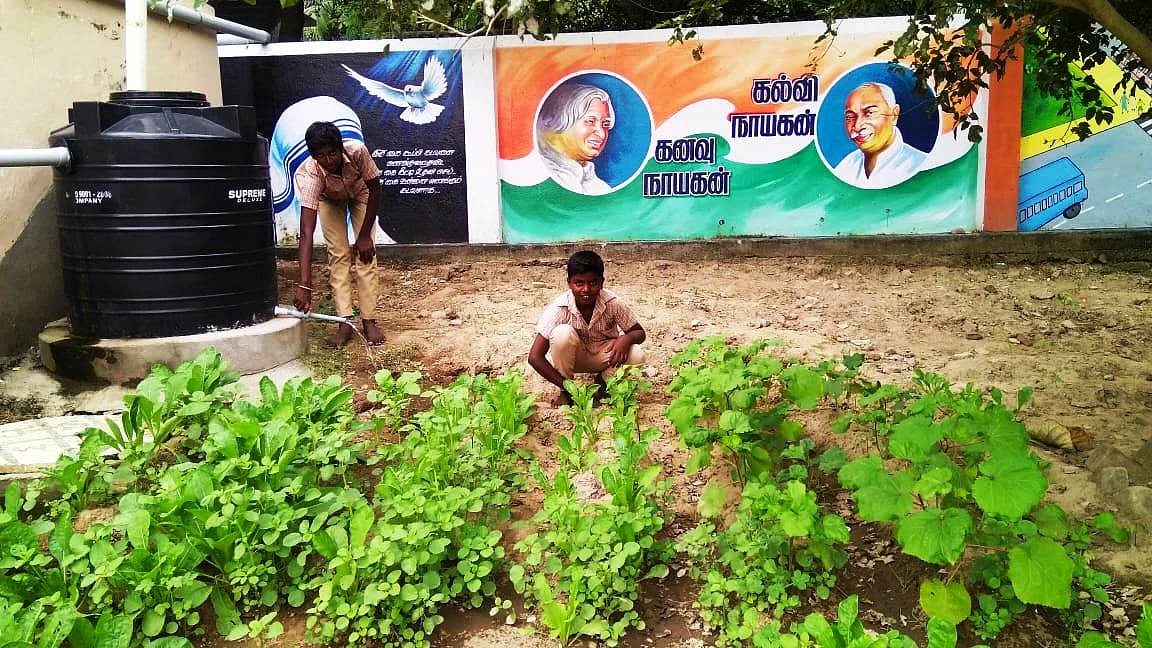 பள்ளியில் விவசாயம் செய்யும் மாணவர்