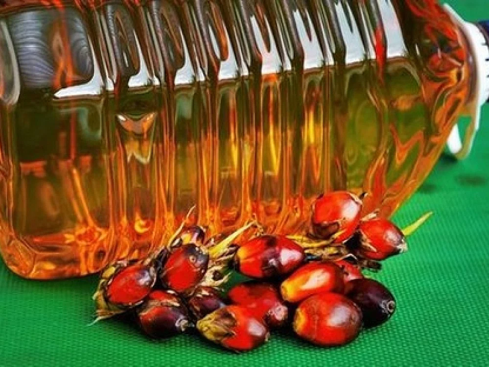பாமாயில் நல்லதா, கெட்டதா? ஆயில் அரசியலும் அதன் பின்னணியும்