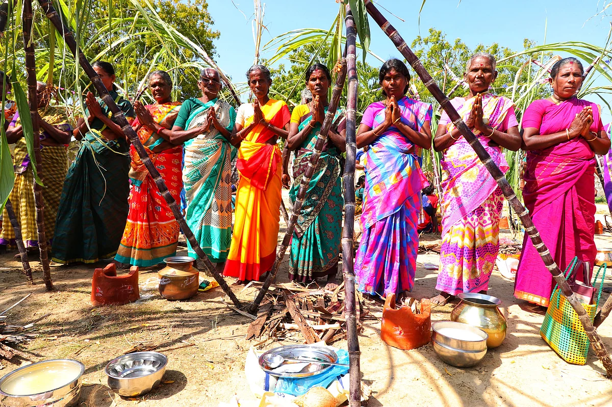 பகலவனை வணங்கி பொங்கல் வைக்கப் போகிறோம்!