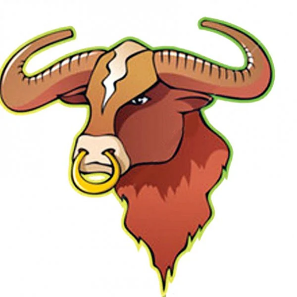 Taurus