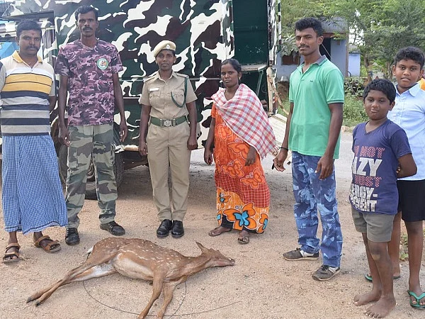 உடைந்துகிடக்கும் நெல்லைப் பூங்கா சுற்றுச்சுவர்; கொல்லப்படும் மான்கள்!-நடவடிக்கை எடுக்குமா வனத்துறை?