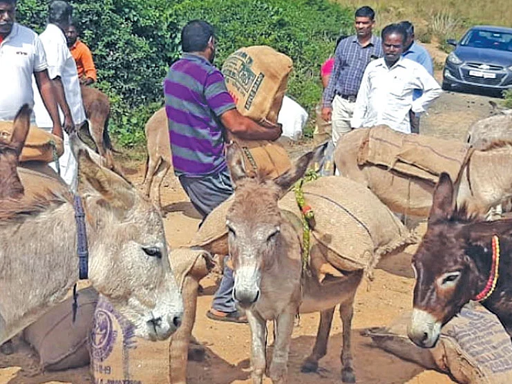 “மூணு மணி நேரம் நடந்தாதான் ஆஸ்பத்திரிக்குப் போக முடியும்!”