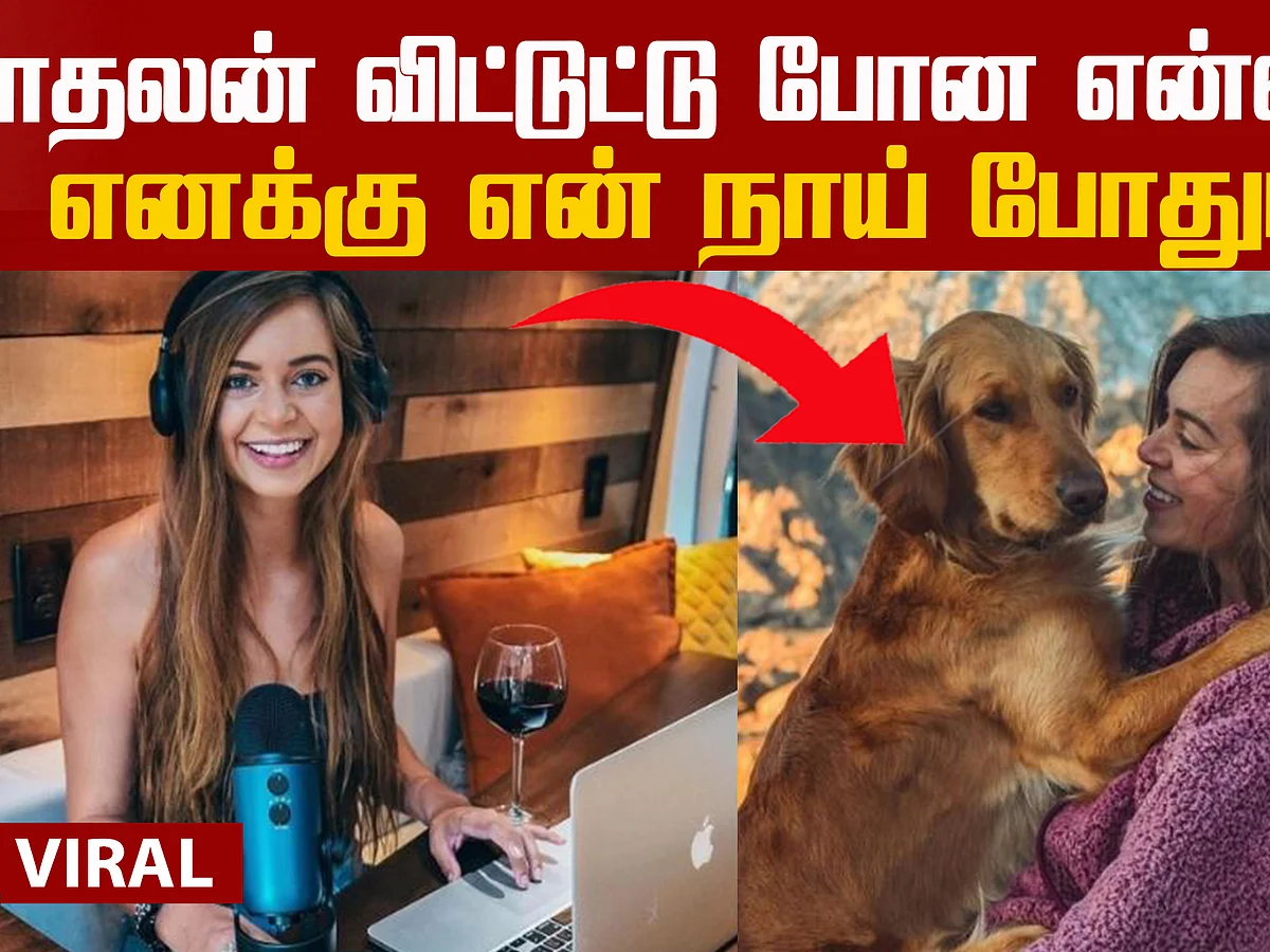 Sydney Ferbrache's travelling experience with her dog!