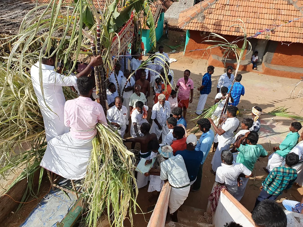 `ஒரு கரும்பு 32,000 ரூபாய், வெள்ளைச் சேலை அணிந்து பொங்கல்!' -சிவகங்கையில் இப்படியும் ஒரு கொண்டாட்டம்