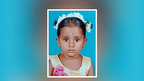 சாமினி
